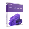 Windows 11 Enterprise - Retail license