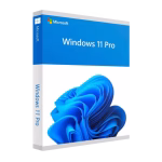 Windows 11 Pro Retail license