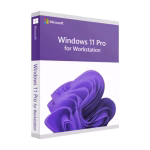 Windows 11 Pro for Workstations - Retail key